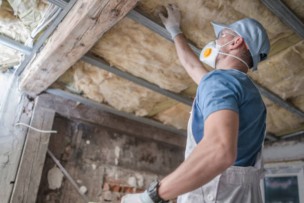 Best Spray Foam Insulation  in White Hall, IL