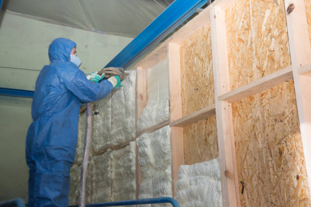 Best Residential Insulation Services  in White Hall, IL