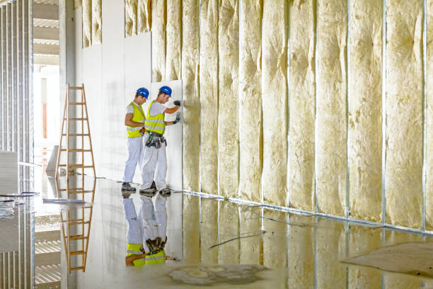 Best Local Insulation Services  in White Hall, IL